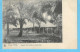 Timbre Type Mols-Congo Belge Unilingue-1909 10c Carmin-N°51-Cachet "Boma-1909"-Magasin D'une Station Du Haut-Congo - Cartas & Documentos