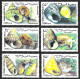 Somalia 1999 Shells Fauna Marinelife Coneshells Sea Conchiglie Shells Ocean Africa MNH Luxe Stamps Full Set - Muscheln