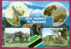 + Tanzania Wild Animals éléphant Zebras Cheetahs Giraffes She-lions Kilimandjaro 2scans 15-04-2020 Stamp Sable - Tanzanie