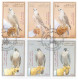 QATAR FDC 2022 DIFFERENT TYPE OF FALCON EMBOSSED BIRDS - Qatar