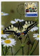 Maximumkarte 2024 Naturmuster - Schmetterling - Maximumkarten (MC)