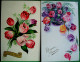 Lot 8 Cpa   FANTAISIES BONNE FÊTE . FLEURS  FLOWERS X  8  OLD  PC - Colecciones Y Lotes