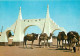 Algérie - Ouargla - Chamelier - CPM - Carte Neuve - Voir Scans Recto-Verso - Ouargla