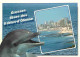 Animaux - Dauphin - Dolphin - Les Sables D'Olonne - CPM - Voir Scans Recto-Verso - Dolfijnen