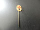 Old Pin Anstecknadel Suisse Svizzera Switzerland - Schweizer Handball Verband - Sin Clasificación