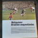 AH07 - ALBUM ELF - FUSSBALL WELTMEISTERSCHAT 1966 - Books