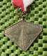 Medaile : DWS (Door Wilskracht Sterk) Afferden 1956-1966 (Limburg ) . -  Original Foto  !!  Medallion  Dutch - Altri & Non Classificati