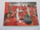 AUTO FORMULE 1 PHOTO 17x12 2003 SUZUKA Michael SCHUMACHER CHAMPION Du MONDE - Automobile - F1