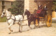 77 - LIVERDY EN BRIE TOURNAN MUSEE DU CHEVAL  - Tournan En Brie