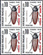 SPM Taxe N** Yv:82/91  Insectes (Bloc 4x) - Timbres-taxe