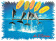 Animaux - Dauphin - Dolphin - Carte à Message - CPM - Carte Neuve - Voir Scans Recto-Verso - Dolfijnen