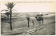 Ägypten  SCENES ET TYPES  Dunes Du Tombeau Des Rois à Touggourt Egypt 1922 - Altri & Non Classificati