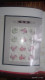 Delcampe - CHINA 2013-1 2013-31 China Whole Year Of Snake FULL 32 Set Stamps + 6 S/S+4 Sheetlet Include The Album - Full Years