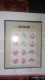 Delcampe - CHINA 2013-1 2013-31 China Whole Year Of Snake FULL 32 Set Stamps + 6 S/S+4 Sheetlet Include The Album - Annate Complete