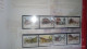 Delcampe - CHINA 2013-1 2013-31 China Whole Year Of Snake FULL 32 Set Stamps + 6 S/S+4 Sheetlet Include The Album - Full Years