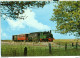 Delcampe - SPRING-CLEANING LOT (5 POSTCARDS), Erste Museums-Eisenbahn Deutschlands, Germany - Collections & Lots