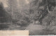 Ansichtskarte Rabenau Rabenauer Grund Gel. 1915 1915 - Rabenau