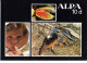 Alpa Reflex, Prospectus Of The Alpa 10 D - German Language - Material Y Accesorios