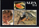 Alpa Reflex, Prospectus Of The Alpa 10 D - Spanish Language - Supplies And Equipment