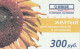 PREPAID PHONE CARD RUSSIA  (CZ293 - Russia