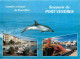 Animaux - Dauphin - Dolphin - Port Vendrès - Multivues - CPM - Voir Scans Recto-Verso - Delphine