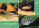 Animaux - Poissons - Hobby Pohlednice - Akvarijni Rybky III - Multivues - CPM - Voir Scans Recto-Verso - Fish & Shellfish