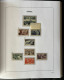 Delcampe - Collection De Timbres France Neufxx Dans Albums DAVO Luxe 1944/2004 Complet - Collections (en Albums)