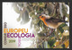 Portugal Oiseau Rouge-gorge Familier Erithacus Rubecula Entier Postal 2019 European Robin Bird Stationery - Pájaros Cantores (Passeri)