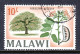 MALAWI — SCOTT 50 — 1967 10/- AFZELIA TREE, WMK. 357 — USED — SCV $18 - Malawi (1964-...)