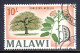 MALAWI — SCOTT 50 — 1967 10/- AFZELIA TREE, WMK. 357 — USED — SCV $18 - Malawi (1964-...)