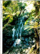2-4-2024 (4 Y 44) Australia - VIC  Tarra Valley National Park (waterfall) - Sonstige & Ohne Zuordnung