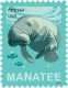 USA 2024 MiNr. XXXX Etats-Unis Marine Mammals Florida Manatee (Trichechus Manatus Latirostris) 1v MNH**  1,40 € - Andere & Zonder Classificatie