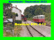 AL 917 - Autorail De Dion Bouton OC 2 En Gare - LUCAY-LE-MÂLE - Indre - BA - Funicular Railway