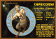 12 Cartes : Tous Les Signes Du Zodiaque - édition Abeille-Carte Série  2269 - Superbe Illustration - Astrologie