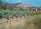 83 - FAYENCE - Fayence