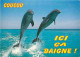 Animaux - Dauphin - Dolphin - Carte à Message - CPM - Carte Neuve - Voir Scans Recto-Verso - Dauphins