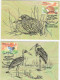 Endangered Birds Of India, Quail, Florican, Thrush, And Stork, 4-Maxim Cards, 2006, Condition As Per Scan - Storia Postale