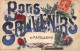 Bons Souvenirs De PAVILLONS-sous-Bois (Seine-Saint-Denis) - Voyagé 1910 (2 Scans) Janot, 48 R De La Bidassoa à Paris 20e - Les Pavillons Sous Bois