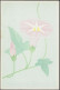 Japon 1993. Entier Postal Surchargé Mihon, Spécimen. Carte De Loterie Sur Papier Recyclé. Coléoptère, Fleur - Käfer