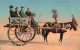 ITALIE - Carro Siciliano - Chariot - Cheval - Animé - Femme - Hommes - Vue Générale - Carte Postale Ancienne - La Spezia