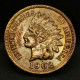 1 CENT INDIAN HEAD 1902 USA / TETE D'INDIEN - 1859-1909: Indian Head