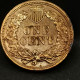 1 CENT INDIAN HEAD 1902 USA / TETE D'INDIEN - 1859-1909: Indian Head