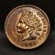 1 CENT INDIAN HEAD 1901 USA / TETE D'INDIEN - 1859-1909: Indian Head