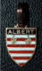 Pendentif Médaille Régionale émaiilée Années 60 Armoiries "Albert" Somme - Colgantes