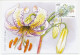 Maximum Card China 2003 Lily - Lilium Taliense - Altri & Non Classificati