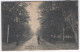 Le Gavre - Une Allée De La Forêt 1907 ( Avec Verso ) - Le Gavre