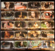 Twilight NEW MOON Movie Film LOT DE 36 CARTES SIZE  Carte Postale - Affiches Sur Carte
