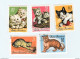 Roumanie Lot De 29 Timbres Les Volatiles De La Ferme - Canard, Poule, Dindon, Poussin, Coq, Chevaux, Chats Et Chiens - Gebruikt