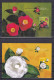 CROATIA 2024,FLORA,PLANTS,CAMELLIAS,MAXIMUM CARD - Kroatien