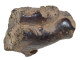 Delcampe - MÉTÉORITE Non FERREUSE Achondrite - Archaeology